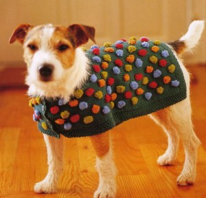 dog_nupp[1]