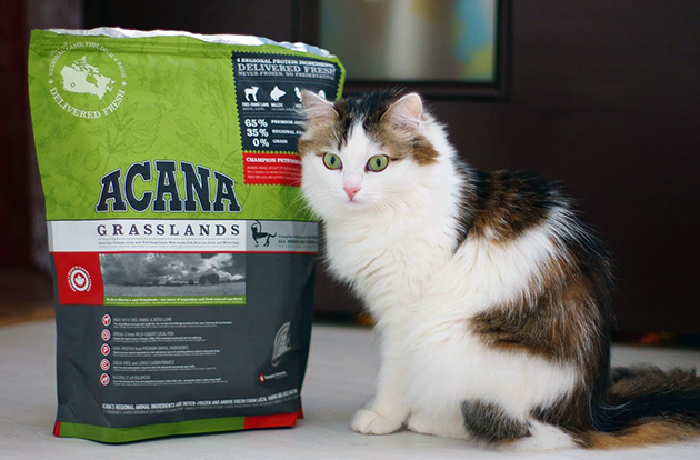 Корм Acana для кошек Корм Acana для кошек