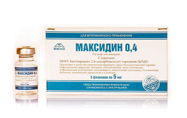 Перед применением максидина рекомендуется ознакомиться с инструкцией Перед применением максидина рекомендуется ознакомиться с инструкцией