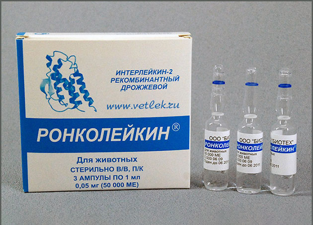 Повторно принимать курс «Ронколейкин» следует только после посещения ветеринара Повторно принимать курс «Ронколейкин» следует только после посещения ветеринара
