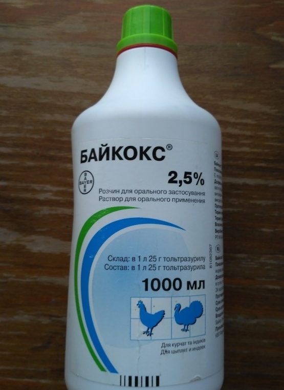 1547655715_1547655693_bajkoks_1547655663_5c3f59ef7d861.jpg