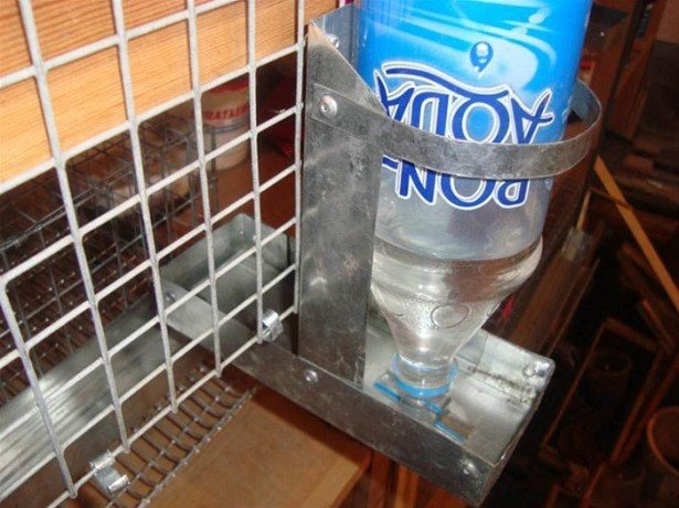 Предисловие