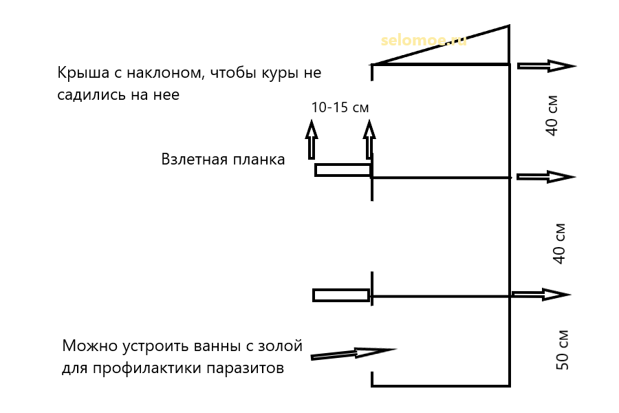 Расположение гнезд в курятнике