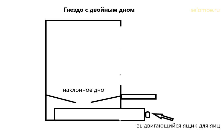 Гнездо с двойным дном