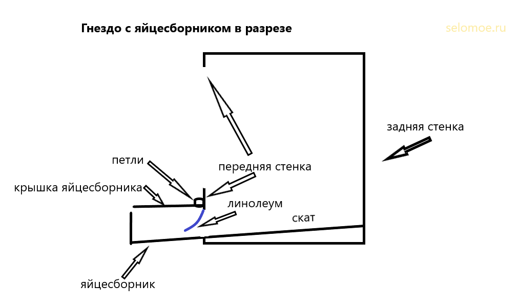 Чертеж гнезда для кур с яйцесборником