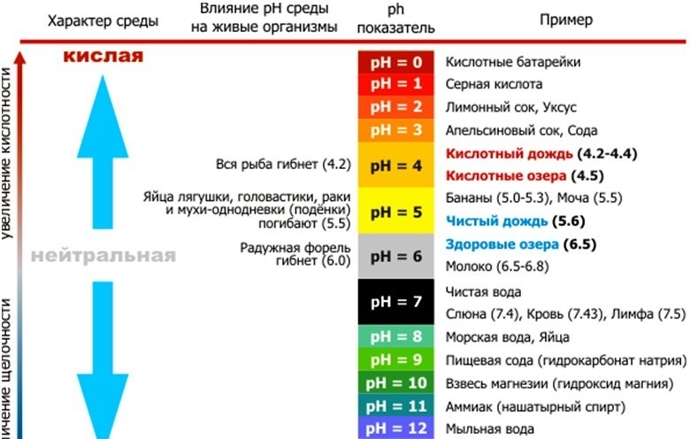 780 Кислотность воды в аквариуме (ph воды)