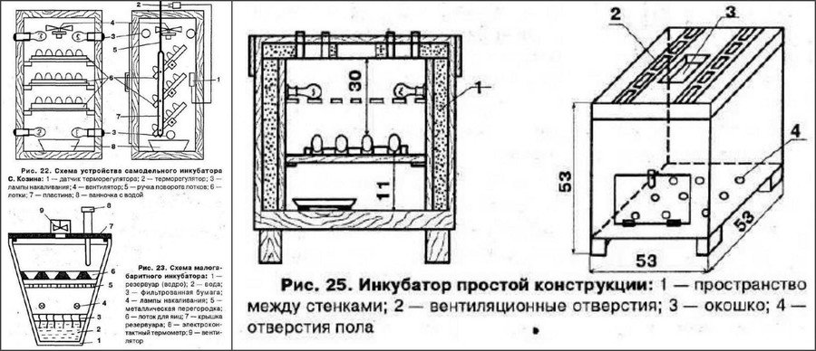 Инкубация гусиных яиц в домашних условиях Инкубация гусиных яиц в домашних условиях