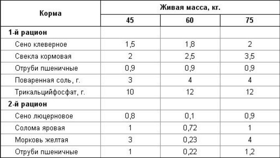 Разведение коз в домашних условиях для начинающих Разведение коз в домашних условиях для начинающих