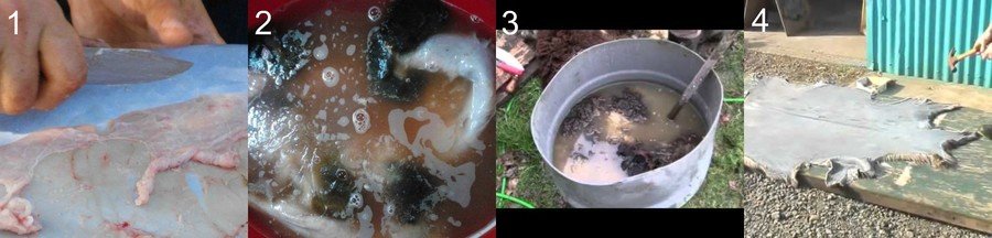 Выделка шкуры козы в домашних условиях Выделка шкуры козы в домашних условиях