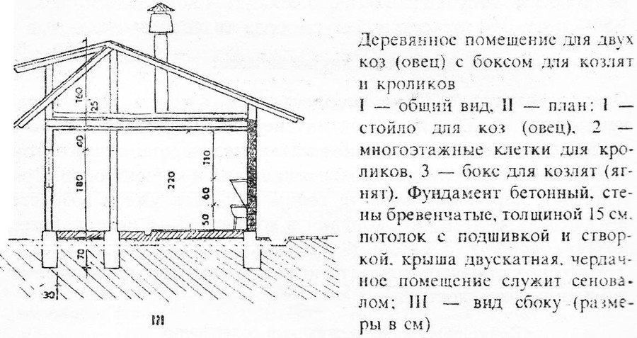 Содержание и уход за козами в домашнем хозяйстве Содержание и уход за козами в домашнем хозяйстве