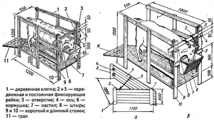 Содержание и уход за козами в домашнем хозяйстве Содержание и уход за козами в домашнем хозяйстве
