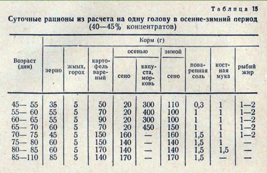 Чем кормить кроликов: в домашних условиях Чем кормить кроликов: в домашних условиях