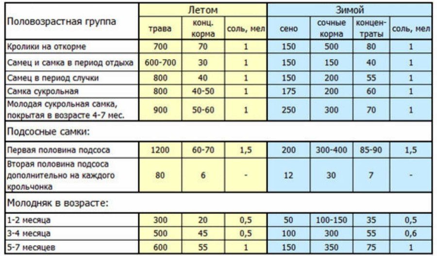 Чем кормить кроликов: в домашних условиях Чем кормить кроликов: в домашних условиях