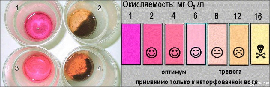 Как правильно содержать аквариумных рыбок Как правильно содержать аквариумных рыбок