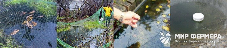 Как подготовить пруд к зимовке рыб Как подготовить пруд к зимовке рыб