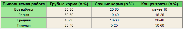 Кормление лошадей 