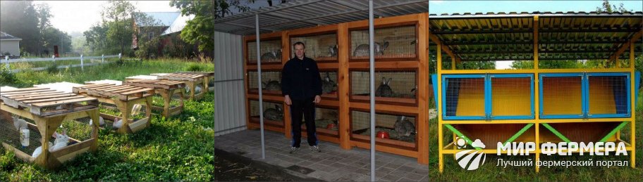 Клетки для кроликов своими руками Клетки для кроликов своими руками