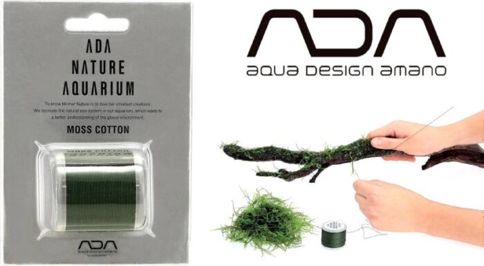 ADA Moss Cotton