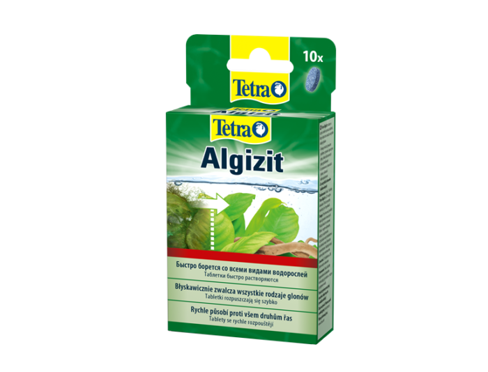 Algizit