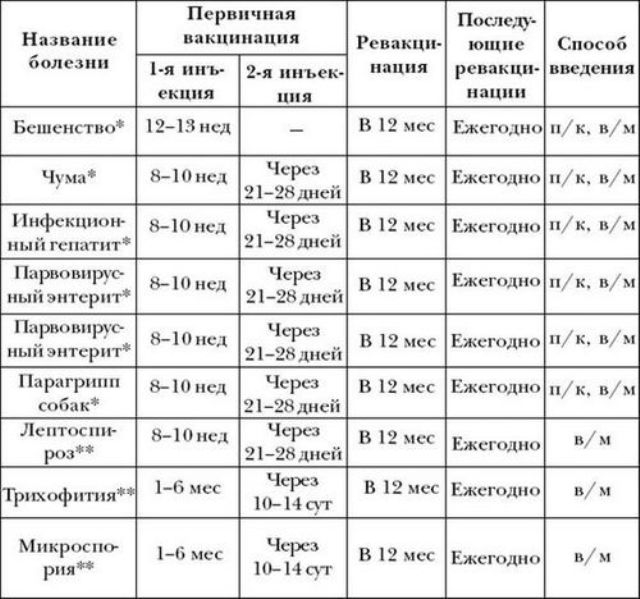 прививка щенку в 2 месяца