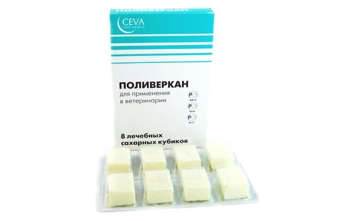 лучшее средство от глистов для собак