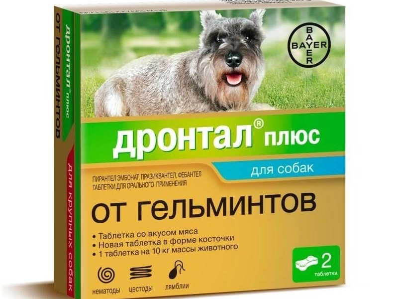 противогельминтные препараты для собак