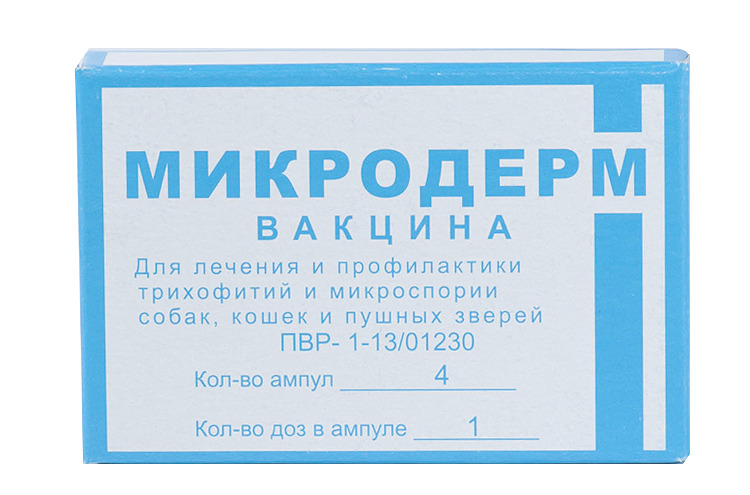 микроспория у собак