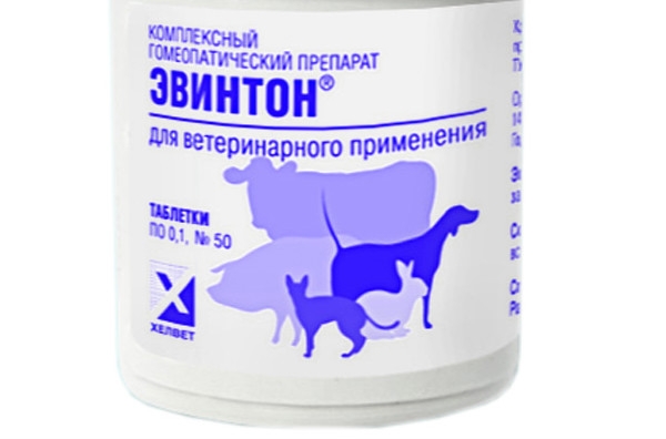 пиодермия у собак