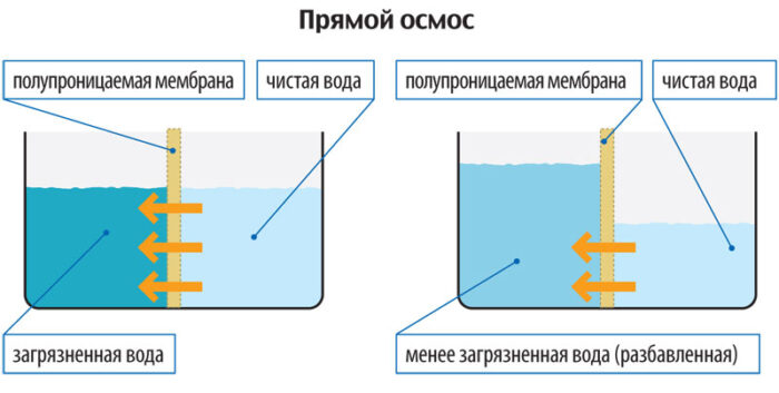 Прямой осмос