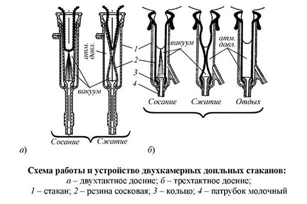 Схема доильного аппарата