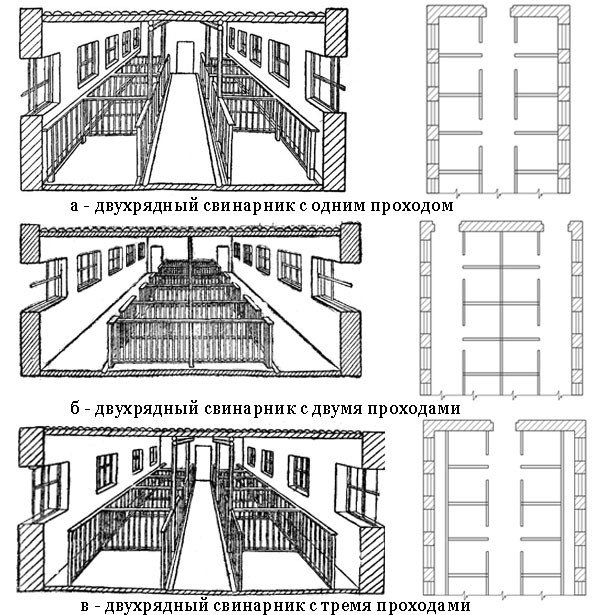 Виды свинарников