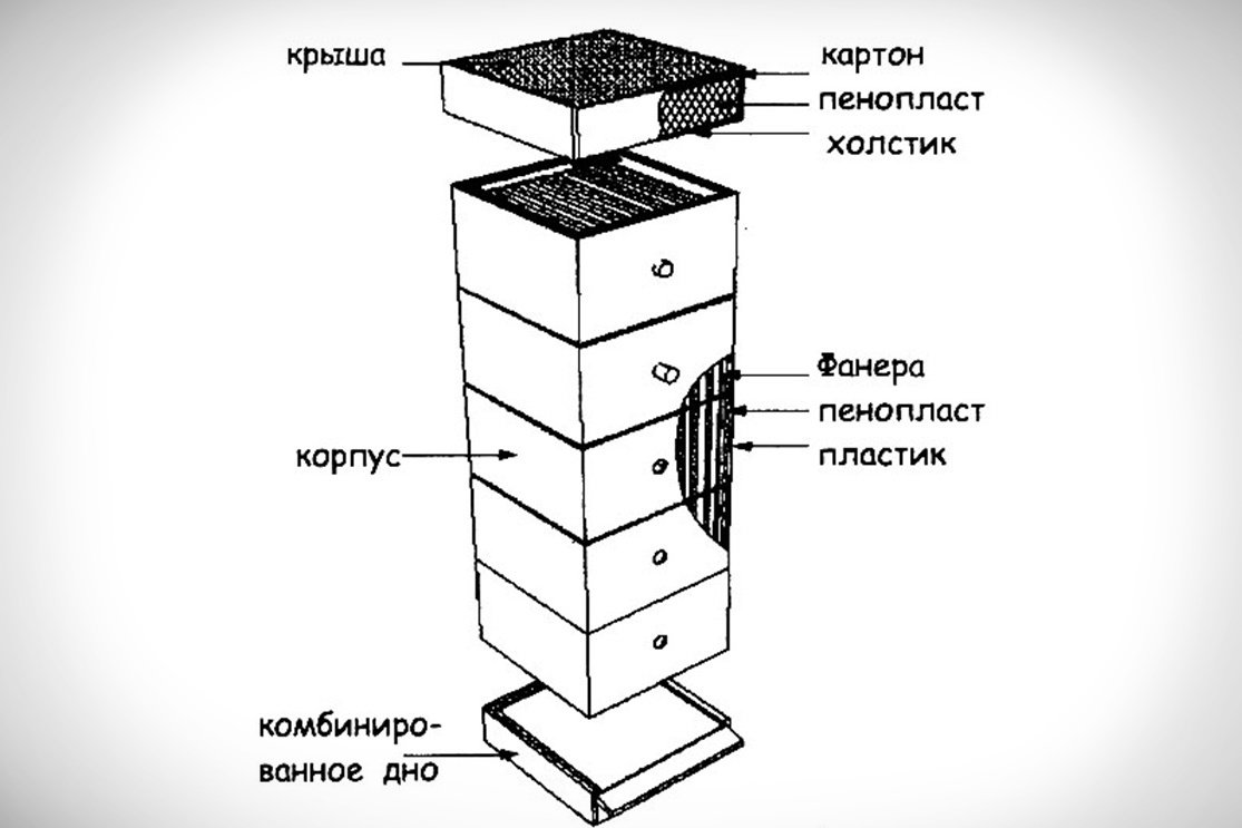Улей Шапкина