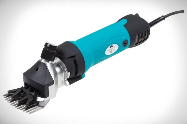 Monella F7