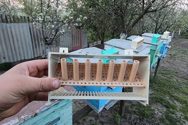 3Х &laquo;Апис&raquo;