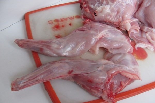 Передние лапы