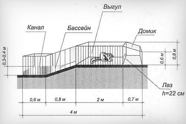 Наземная постройка