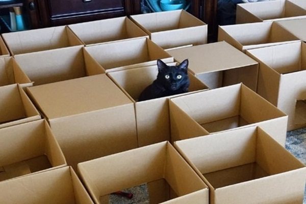 Из коробок