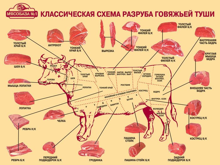 Южно-Американская схема