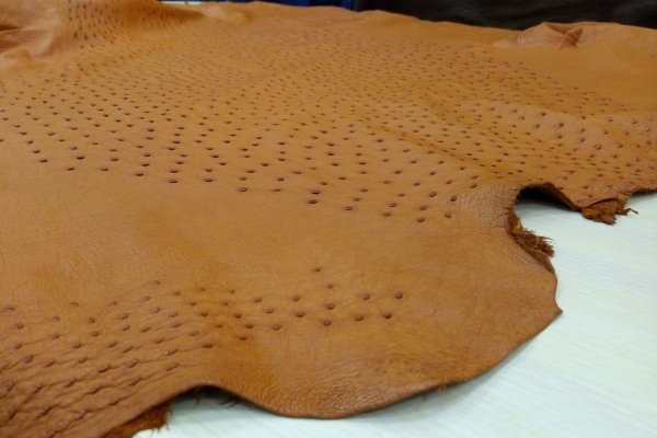 Страусиная кожа на продажу
