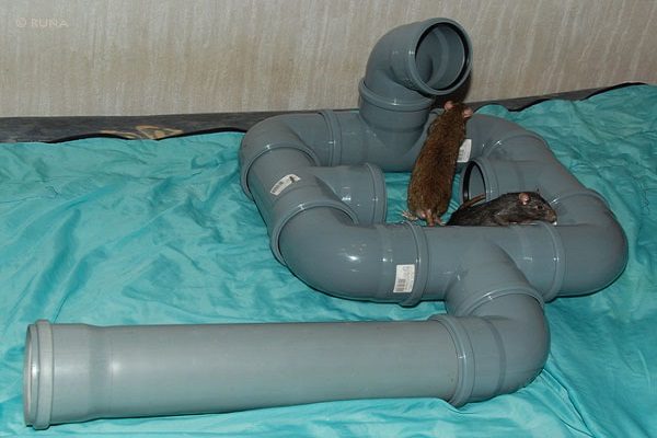 Из водопроводных фитингов