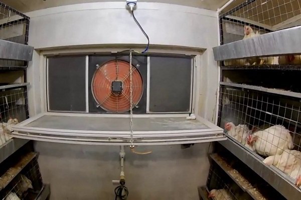 Механическая вентиляция