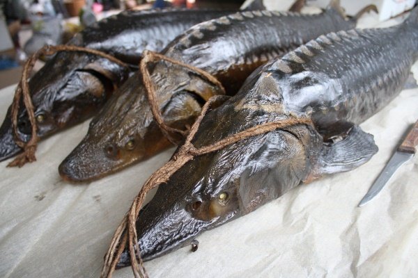 Осётр копчёный 