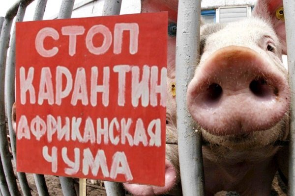 Стоп АЧС