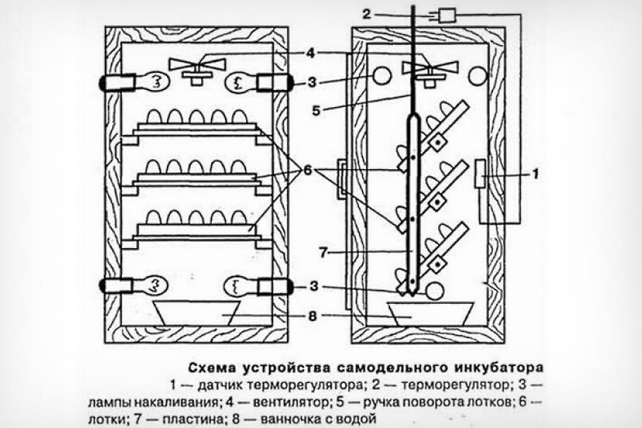 Схема инкубатора