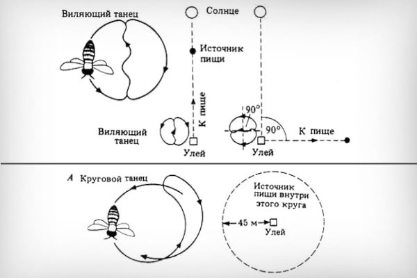 Танец в зависимости от расположения медоноса