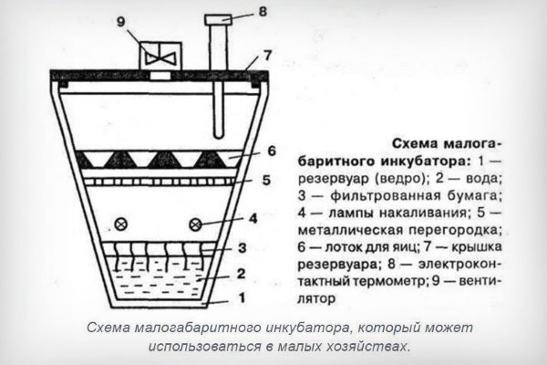 Из пластикового ведра