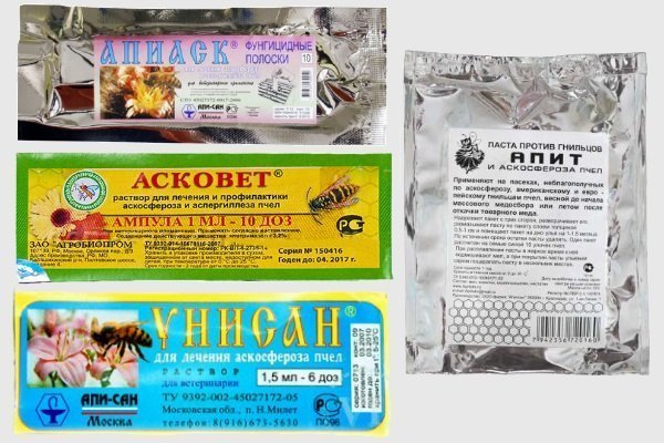 Лекарства от аскосфероза и аспергиллеза