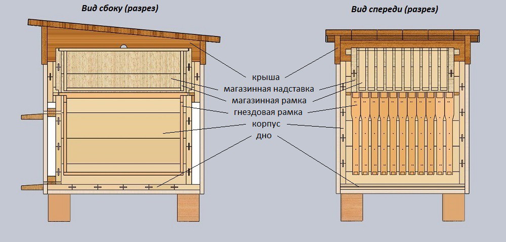 Конструкция улья